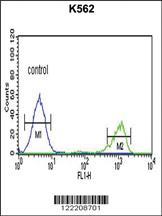 Anti-ADH7 Rabbit Polyclonal Antibody