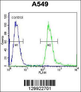 Anti-PABPN1L Rabbit Polyclonal Antibody (Biotin)