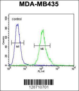 Anti-M4A4A Rabbit Polyclonal Antibody (AP (Alkaline Phosphatase))