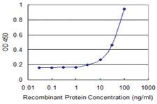 Anti-EDF1 Mouse Monoclonal Antibody [clone: 3E6]