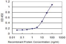 Anti-SOX15 Mouse Monoclonal Antibody [clone: 1B3]