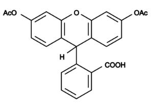 Dihydrofluorescein d 15203 25 mg