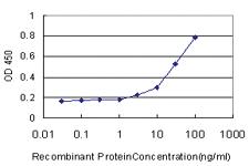 Anti-EGFL7 Mouse Monoclonal Antibody [clone: 3G1]