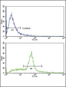 Anti-KITLG Rabbit Polyclonal Antibody (Biotin)