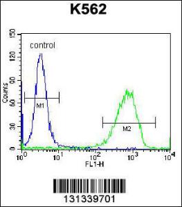 Anti-PAICS Rabbit Polyclonal Antibody (FITC (Fluorescein Isothiocyanate))