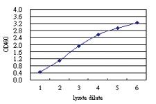 Anti-CD55 Antibody Pair