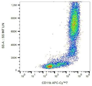 Anti-CD11b antibody