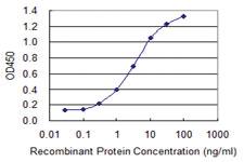 Anti-SOX12 Mouse Monoclonal Antibody [clone: 2C4]