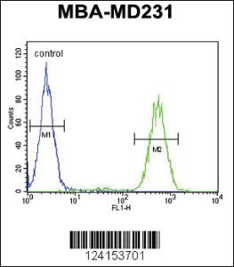 Anti-SLC25A37 Rabbit Polyclonal Antibody