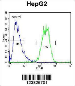 Anti-SEC13 Rabbit Polyclonal Antibody (FITC (Fluorescein Isothiocyanate))