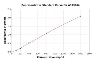 Representative standard curve for human Histone H13 ELISA kit (A313964)