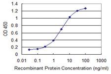 Anti-SOX12 Mouse Monoclonal Antibody [clone: 2D3]