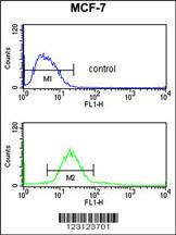 Anti-CDIPT Rabbit Polyclonal Antibody (PE (Phycoerythrin))