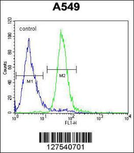 Anti-C15orf39 Rabbit Polyclonal Antibody (HRP (Horseradish Peroxidase))