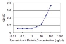 Anti-CXCL6 Mouse Monoclonal Antibody [clone: 2G12]