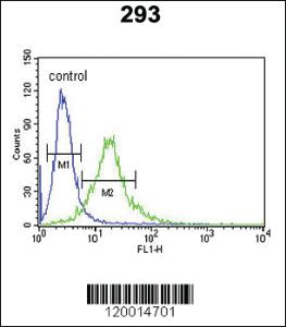 Anti-XRCC6 Rabbit Polyclonal Antibody