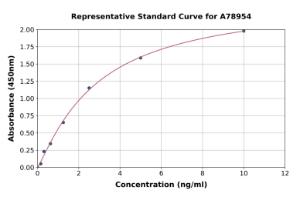 Representative standard curve for Human UMOD ELISA kit (A78954)