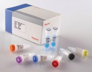 Kits qRT-PCR, Verso™ 