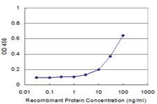 Anti-CXCL11 Mouse Monoclonal Antibody [clone: 3D9]