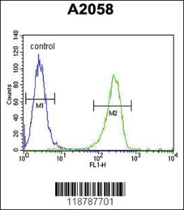 Anti-RNASE8 Rabbit Polyclonal Antibody