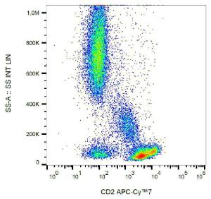 Antibody anti-CD2 TS18 APC-cyanine 7