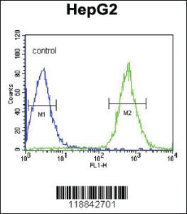 Anti-CDK14 Rabbit Polyclonal Antibody