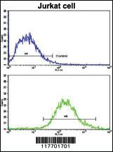 Anti-MERTK Rabbit Polyclonal Antibody