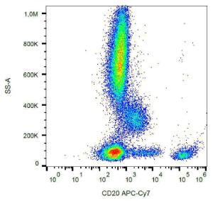 Anti-CD20 Mouse Monoclonal Antibody [clone: 2H7] (APC (Allophycocyanin)-Cy7®)