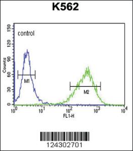 Anti-UPK1B Rabbit Polyclonal Antibody