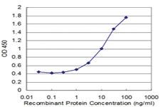 Anti-CTNNAL1 Mouse Monoclonal Antibody [clone: 2C11]