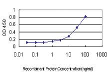 Anti-PRKACB Mouse Monoclonal Antibody [clone: 2G8-1D12]