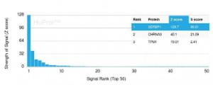 Analysis of protein array containing more than 19000 full-length human proteins using Anti-SERBP1 Antibody [SERBP1/3497].