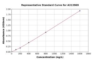 Representative standard curve for human Cdk9 ELISA kit (A313969)