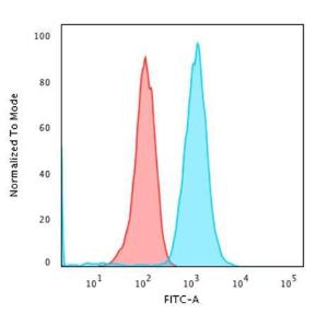 Flow cytometric analysis of Raji cells using Anti-CD79a Antibody [IGA/1790R] followed by Goat Anti-Mouse IgG (CF&#174; 488) (Blue). Isotype Control (Red).