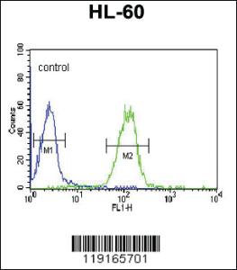 Anti-APOL4 Rabbit Polyclonal Antibody