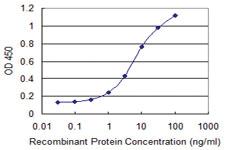 Anti-DAP Mouse Monoclonal Antibody [clone: 3C5]