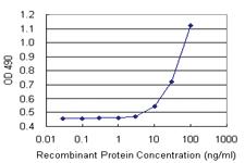 Anti-DGKA Antibody Pair