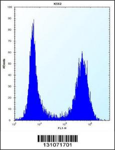 Anti-SCAP Rabbit Polyclonal Antibody (APC (Allophycocyanin))