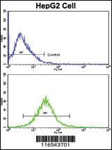 Anti-GAPDH Rabbit Polyclonal Antibody