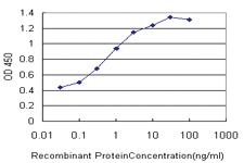 Anti-FOXA1 Mouse Monoclonal Antibody [clone: 1B1]