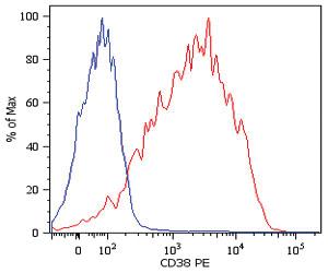 Anti-CD38 Mouse Monoclonal Antibody [clone: HIT2]