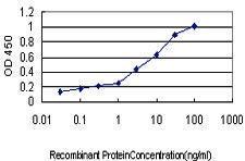 Anti-SERPING1 Mouse Monoclonal Antibody [clone: 3F4-1D9]