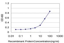 Anti-CXCL12 Mouse Monoclonal Antibody [clone: 1F10]