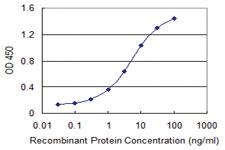 Anti-DBR1 Mouse Monoclonal Antibody [clone: 3A7]