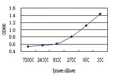 Anti-IL17F Antibody Pair