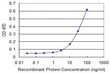 Anti-SDF2 Mouse Monoclonal Antibody [clone: 3G7-1D6]