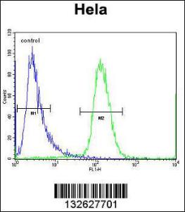 Anti-SCHIP1 Rabbit Polyclonal Antibody