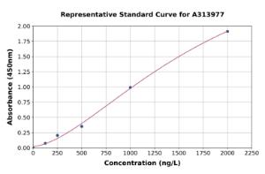 Representative standard curve for human RGS2 ELISA kit (A313977)