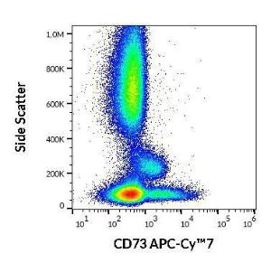 Flow cytometric analysis of human peripheral whole blood stained using Anti-CD73 Antibody [AD2] (APC-Cyanine 7) (4µl reagent per 100µl of peripheral whole blood)