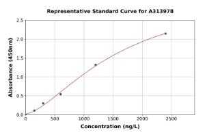 Representative standard curve for human CHST13 ELISA kit (A313978)